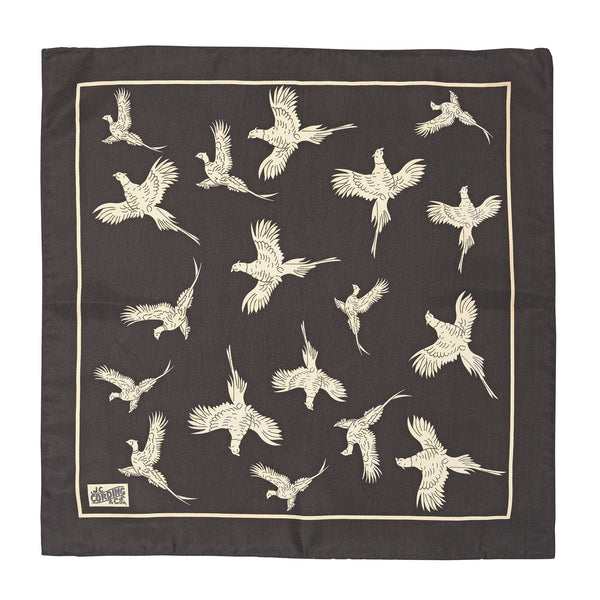 Chocolate Pheasant Silk Hank