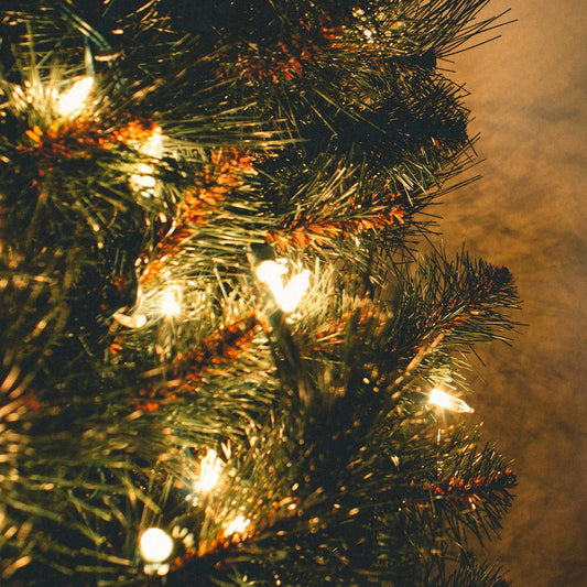 Cordings Christmas Gift Guide