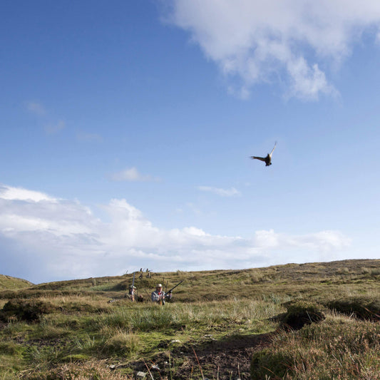 Early grouse days: what to wear
