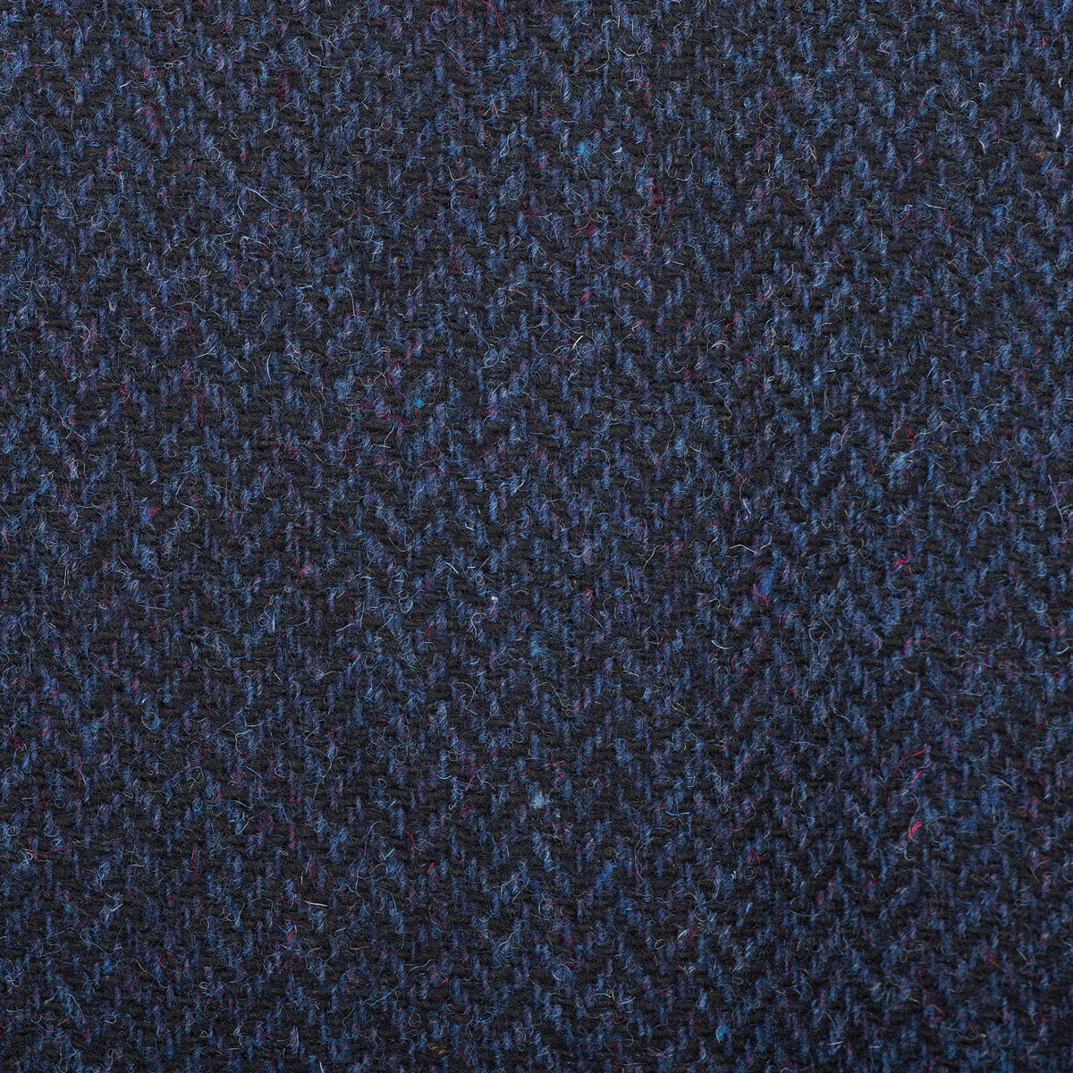 Navy Toledo Coat