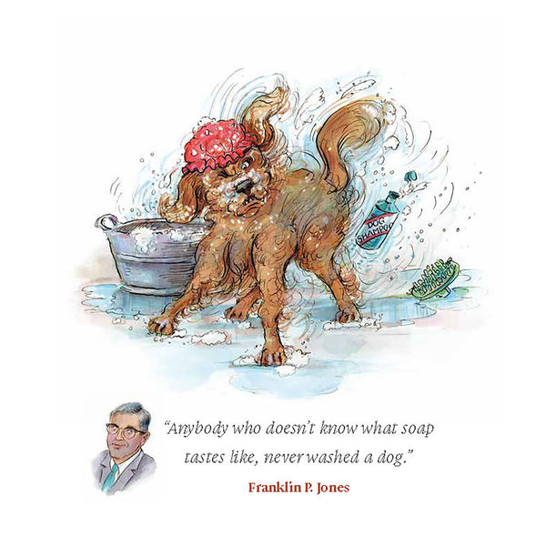No Dogs on the Bed Hardback Book
