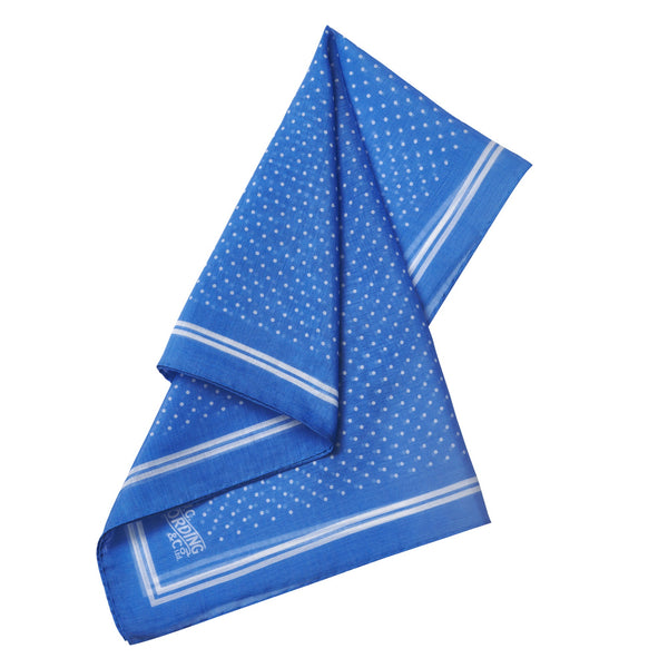 Blue Silk Cotton Voile Spot Hank