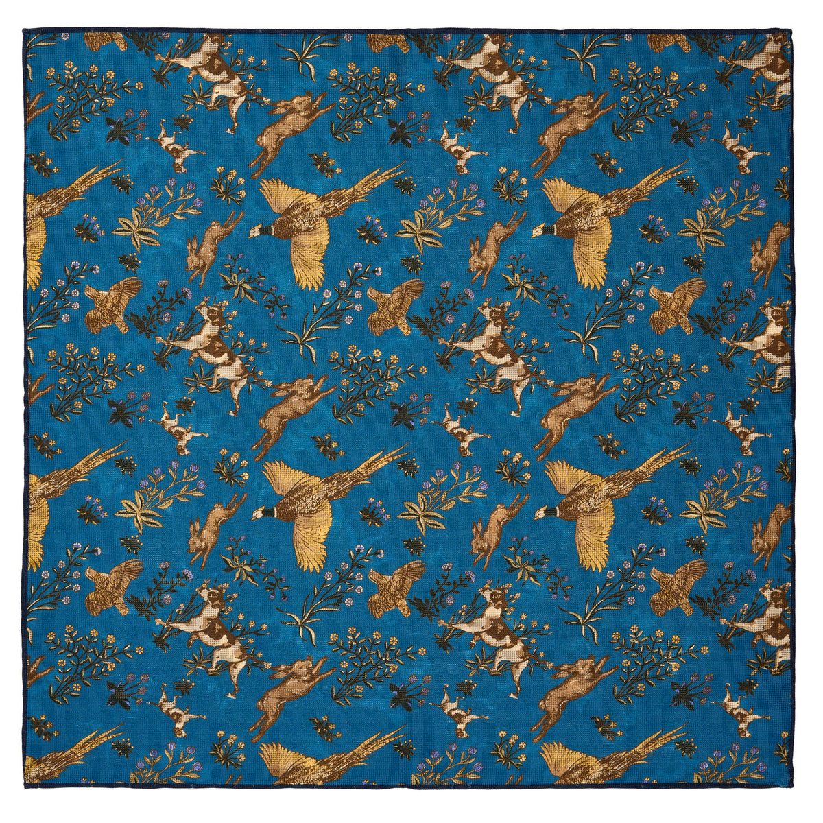 Blue Reversible Dog Pheasant Hank