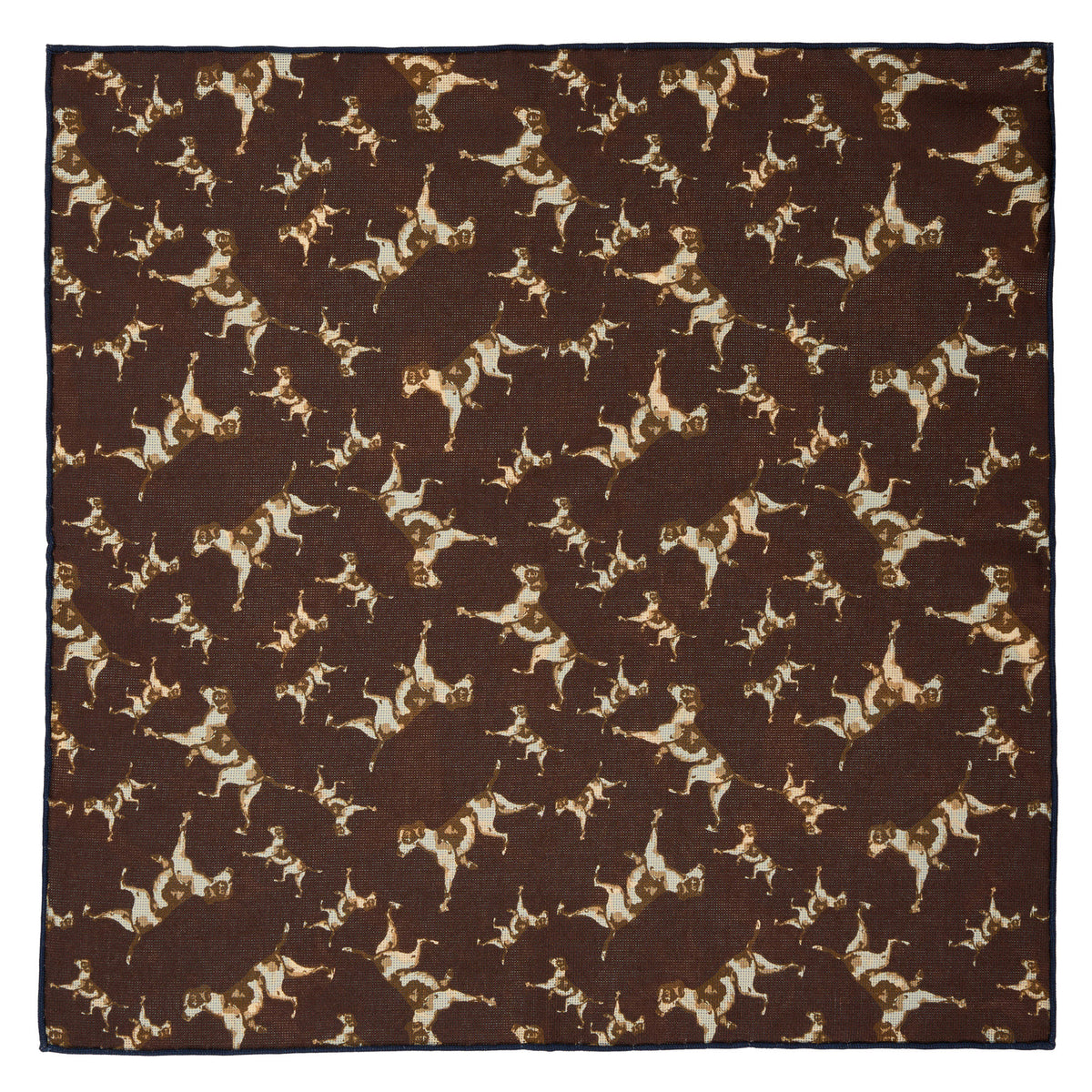 Blue Reversible Dog Pheasant Hank