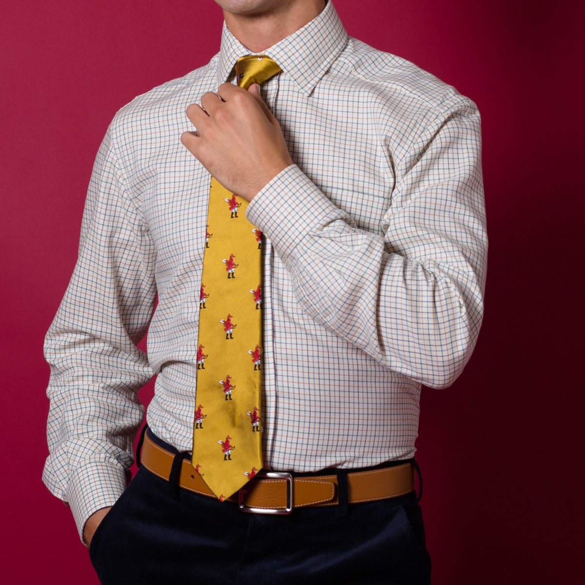 Navy Green Hugo Check Shirt