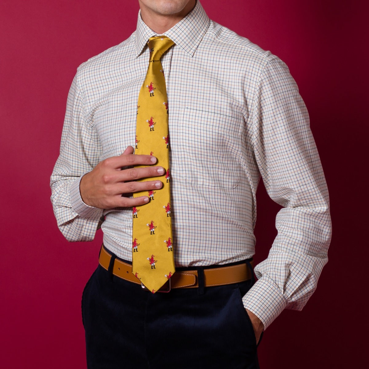Navy Green Hugo Check Shirt