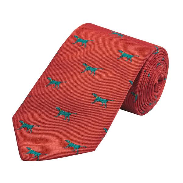 Orange Naïve Pointer Tie